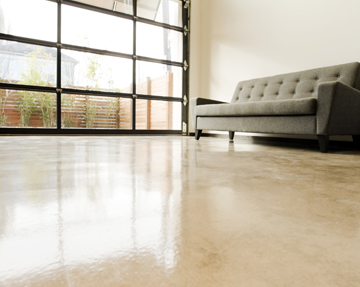 Modern Living Space with Polished Concrete Floor